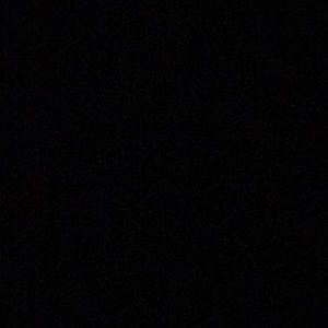 Meet your Posher, Parker